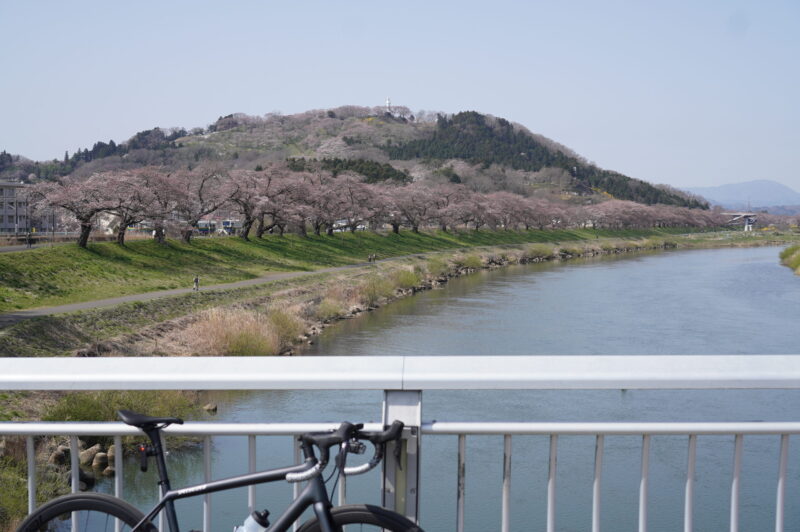 【4月2日(日)】一目千本桜を見に行こう♪アップダウン中距離ロードライド！