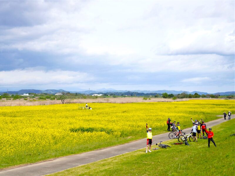 【4月27日(木)】角田菜の花畑＆旬のたけのこランチの平日ロングライド♪