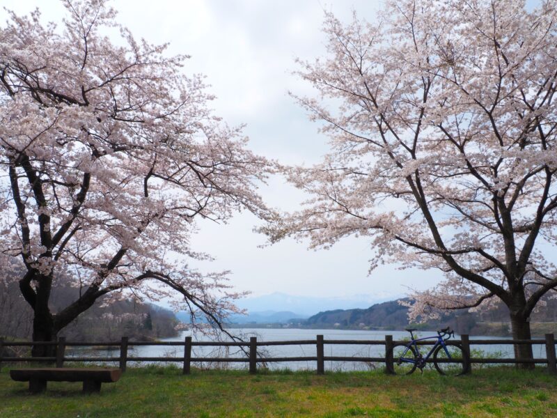 【4月14日(日)】釜房湖方面ゆったり上りのうまくいけば！？お花見ライド！
